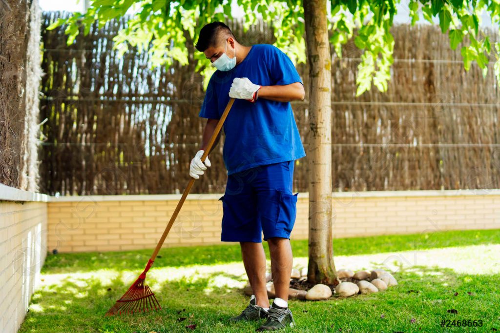 تمیز کردن باغچه به وسیله لوازم نظافت ساختمان